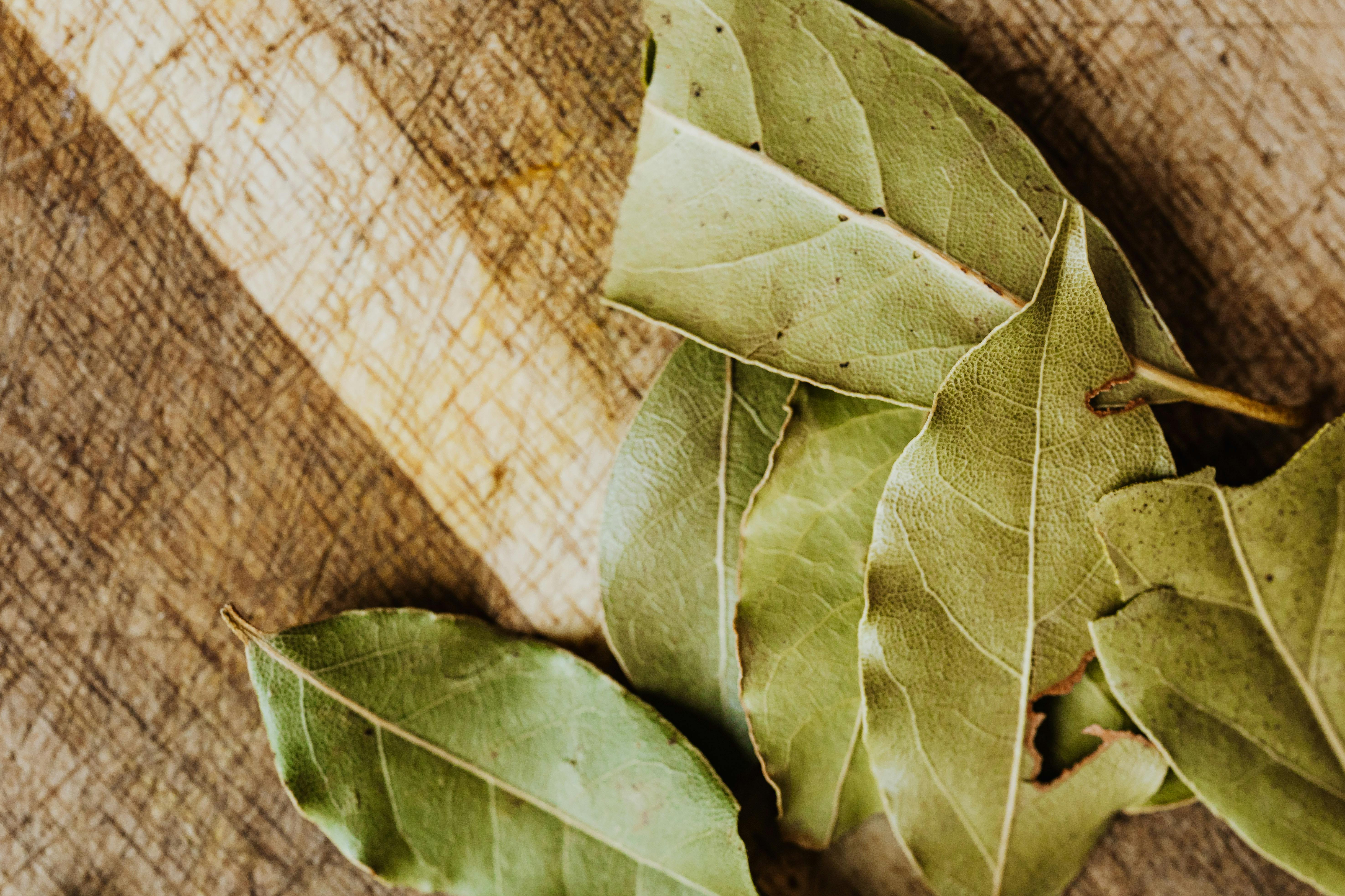 bay leaves
